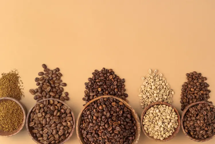 Kahve Çekirdeği Türleri: Arabica vs Robusta